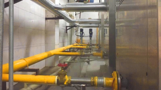 成都冠生園食品有限公司